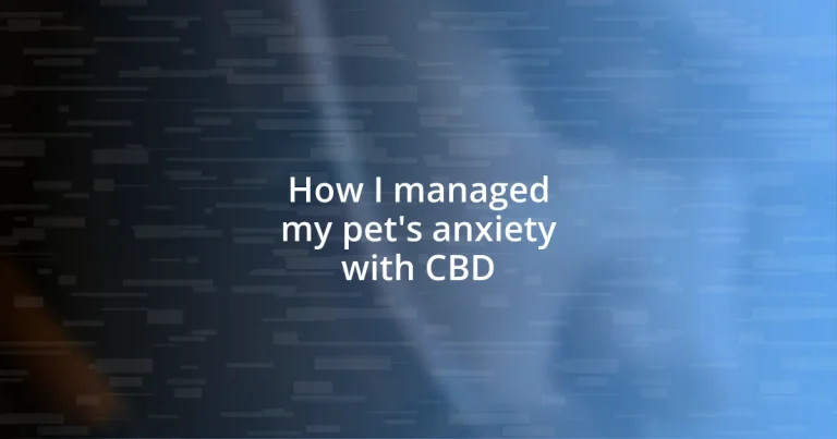 How I managed my pet’s anxiety with CBD