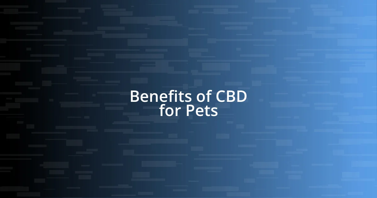 Benefits of CBD for Pets